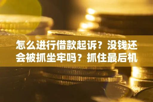北京怎么进行借款起诉？没钱还会被抓坐牢吗？抓住最后机会！