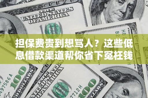 北京担保费贵到想骂人？这些低息借款渠道帮你省下冤枉钱